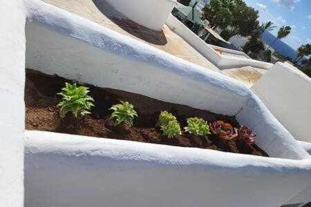 Fantastico Apartamento Con Terraza Y Vistas Al Mar Costa Teguise Exteriér fotografie